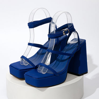 Chunky Heel Strap Sandals — Women's Summer Pumps